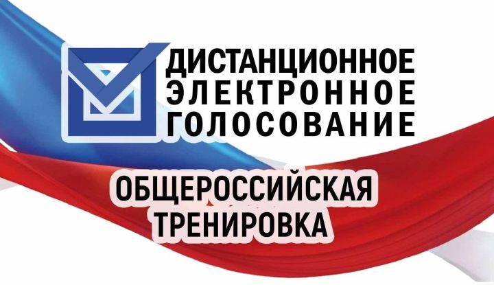 Жители Татарстана смогут протестировать систему электронного дистанционного голосования