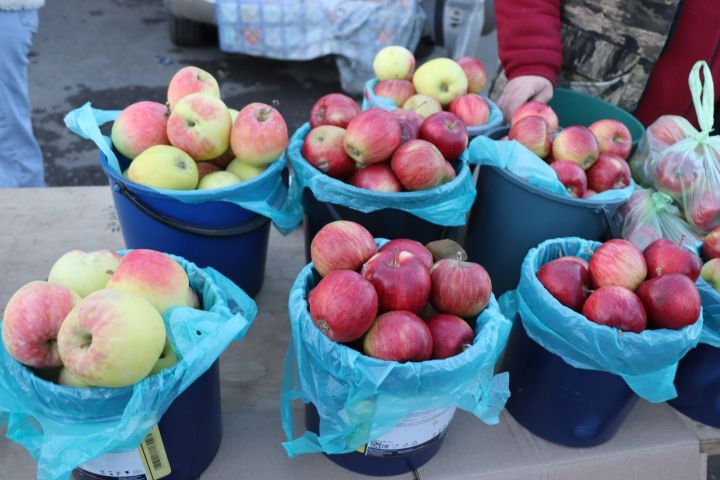 За десять ярмарочных дней фермеры республики продали сельхозпродукцию более чем на 700 млн рублей