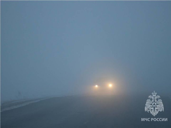 МЧС предупреждает жителей Татарстана о тумане