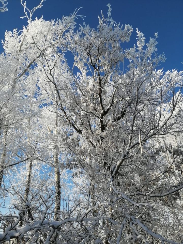 11 декабря в Нурлате сохранятся аномальные морозы