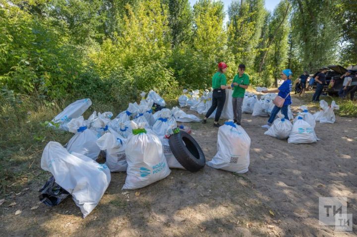 В 2023 годуТатарстан принял участие в 4 федеральных проектах нацпроекта «Экология»