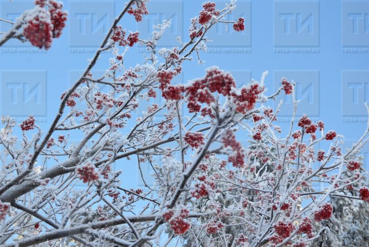 Штормовое предупреждение об установлении аномально-холодной погоды