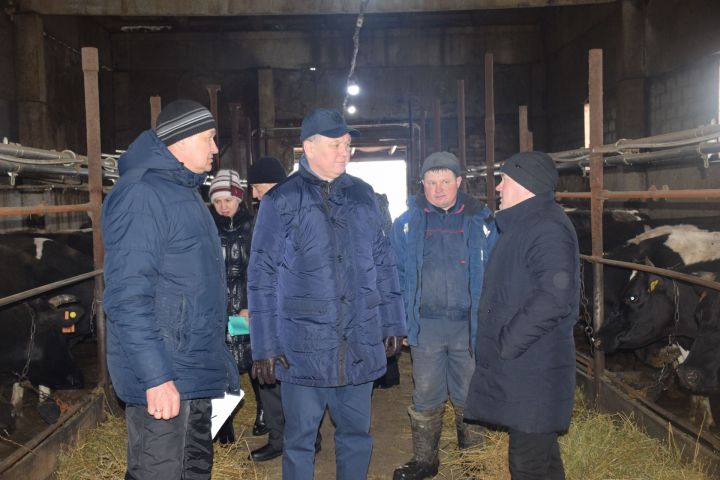 Глава Нурлатского района посетил ЛПХ Ильнура Ханяфиева