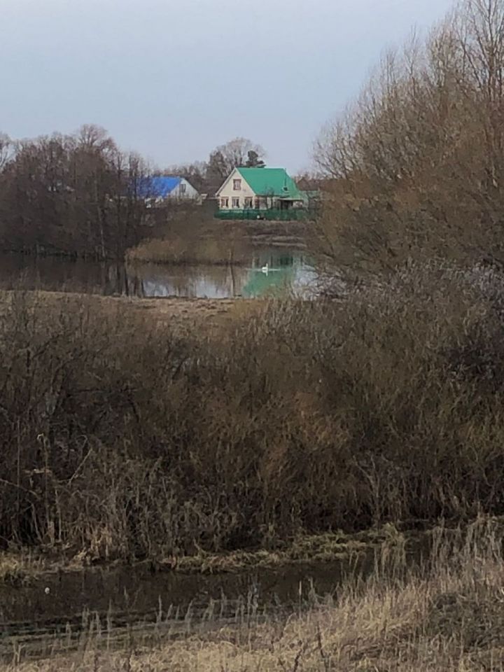 В Нурлатский район прилетели первые лебеди