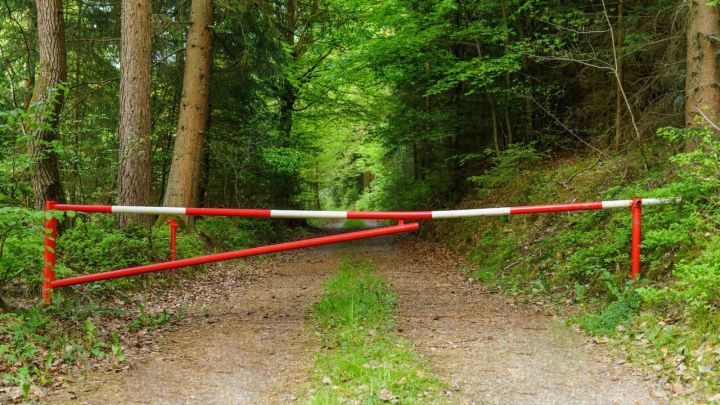 Татарстанцам временно ограничили посещение лесов