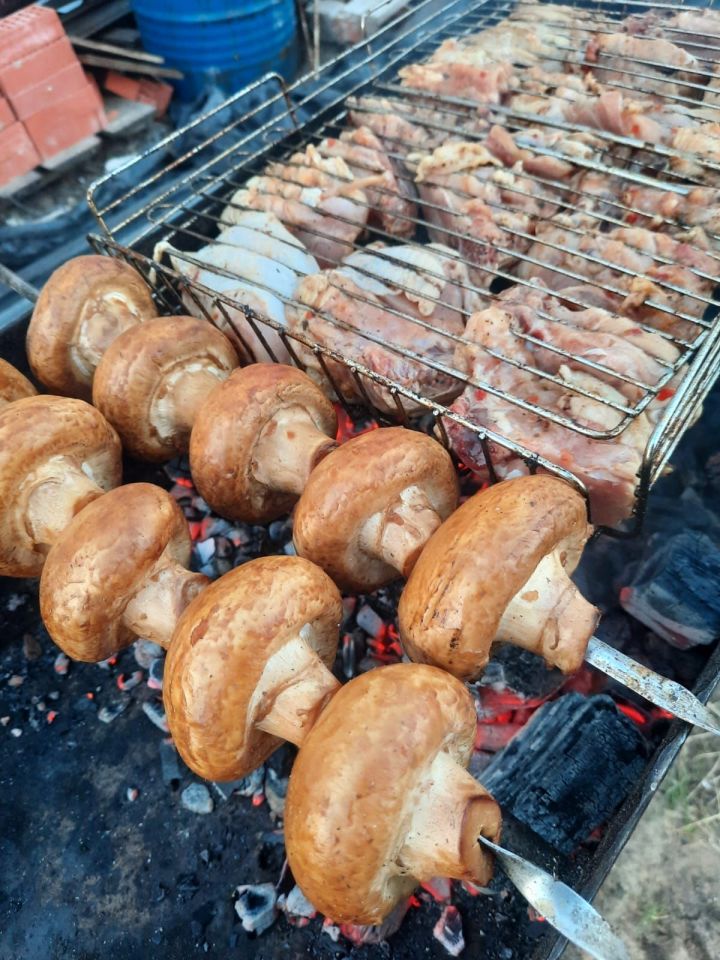 Нурлатцам дали рекомендации по выбору шашлыка и мяса для его приготовления