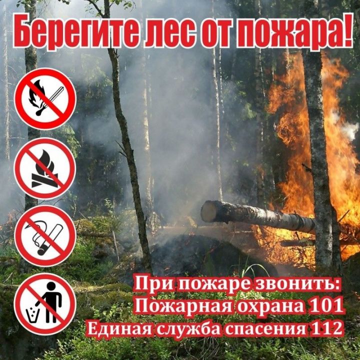 Прогноз пожарной опасности лесов на территории Республики Татарстан