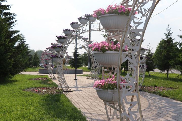 Нурлатские предприниматели украшают цветами не только Нурлат, но и уголок в центре Казани
