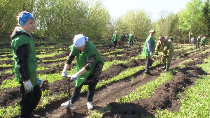 Сад памяти теперь есть и в посёлке Заречном