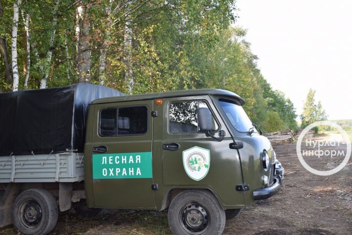 Татарский природоохранный межрайонный прокурор проведёт приём граждан в Нурлате