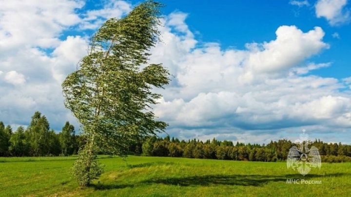 МЧС предупреждает о сильном ветре на территории Татарстана 19 июня