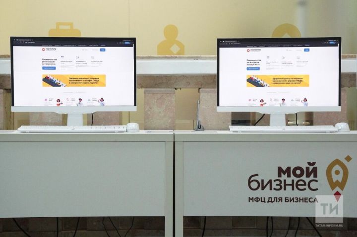 За первое полугодие 2023 года бизнес Татарстана получил более 11 тысяч услуг в электронном виде