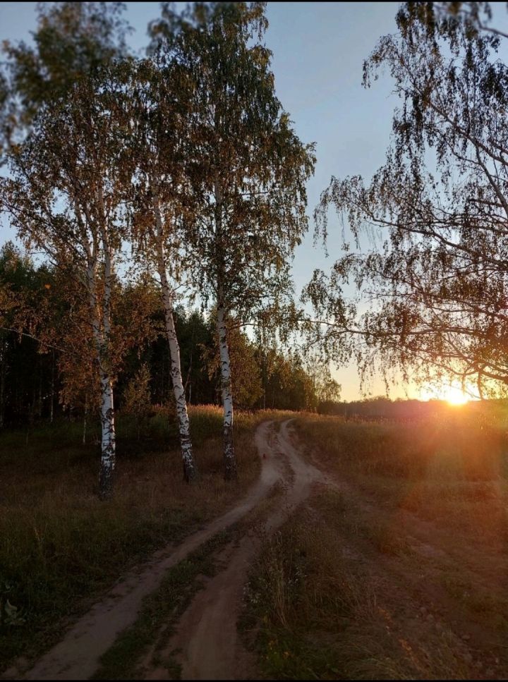 Виктория Садыкова отправила фотографию летней природы