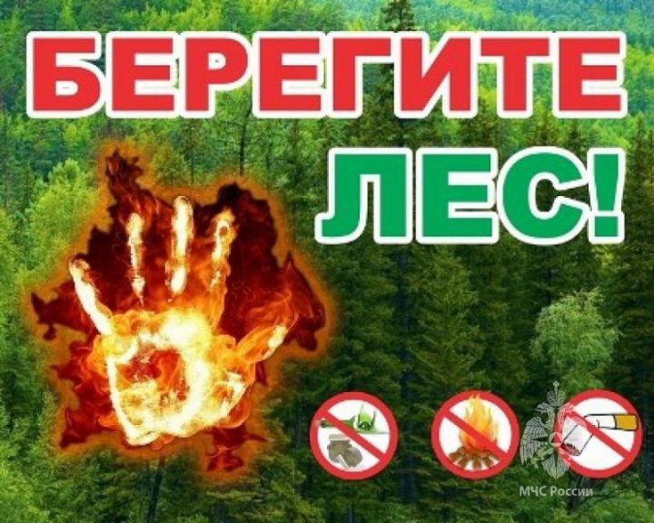 В Татарстане из-за рисков возникновения пожаров штормовое предупреждение объявили на неделю