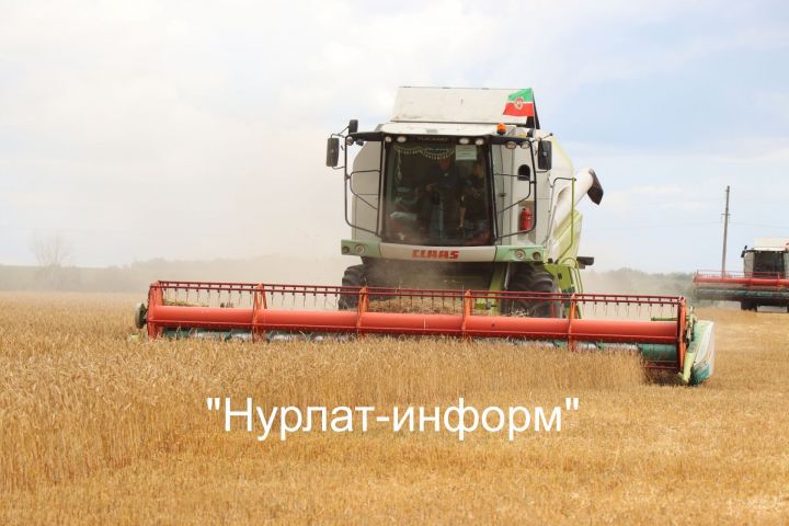 Аграриями Татарстана собран второй миллион тонн зерна