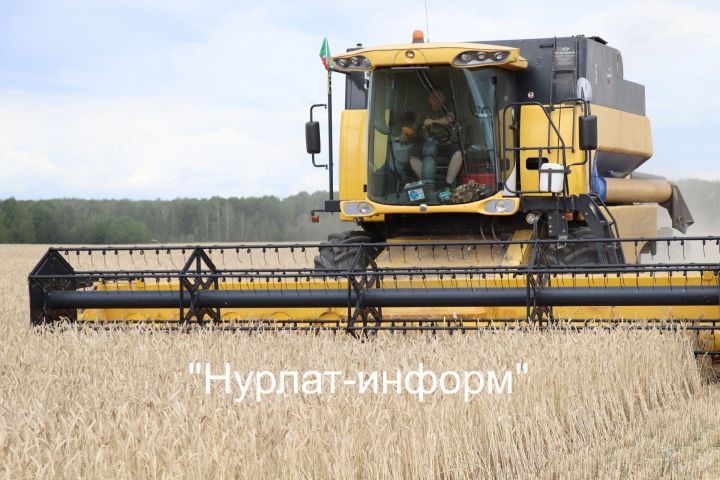 Рустам Минниханов поблагодарил татарстанских аграриев за первый намолоченный миллион тонн зерна