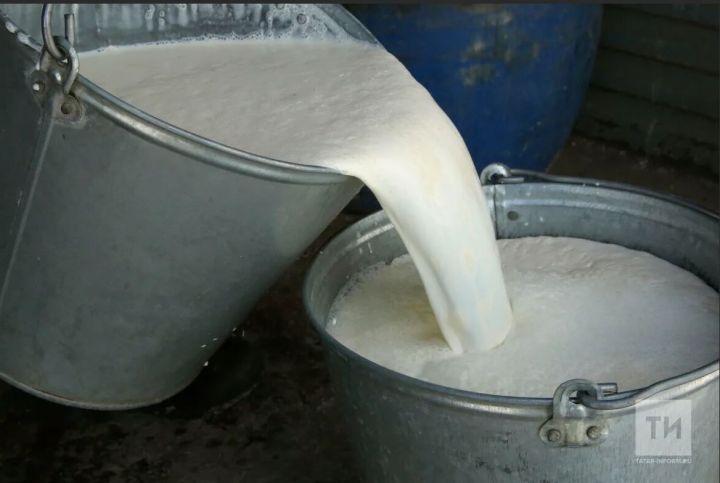 Татарстанские производители молока в 2023 году получили господдержку на 1,8 млрд рублей