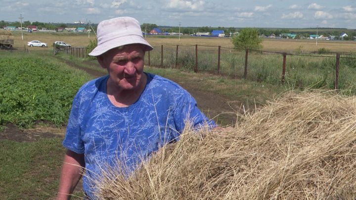 Хафиз Сатдаров из Светлого Озера заготавливает на зиму 200 тюков сена