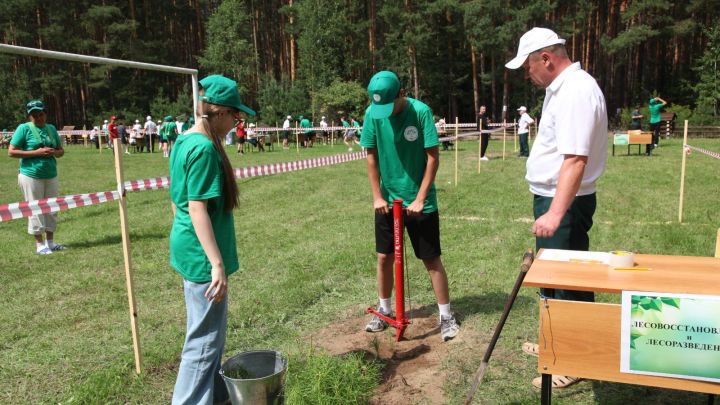 В Татарстане в новом учебном году для детей распахнули двери 149 школьных лесничеств