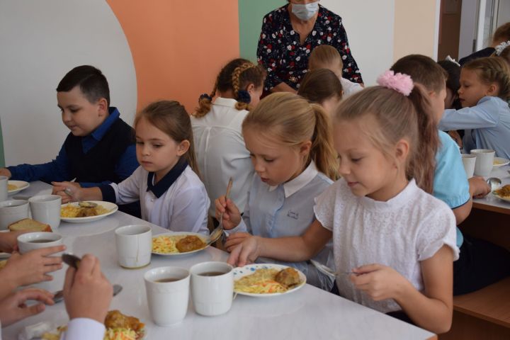 Роспотребнадзор Татарстана открыл горячую линию по вопросам школьного питания
