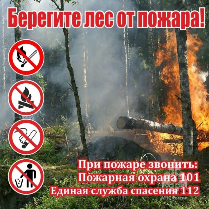 В Татарстане объявлено штормовое предупреждение из-за пожарной опасности лесов