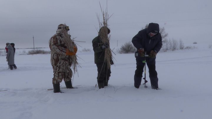 На пруду близ Андреевки спасли рыб от кислородного голодания