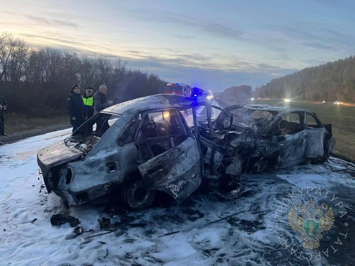 Два человека погибли после лобового столкновения автомобилей в Татарстане