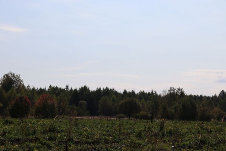 Сегодня вечером в Нурлатском районе облачно с прояснениями