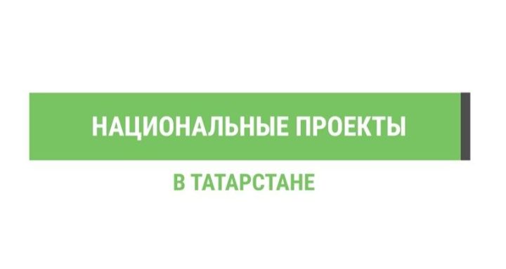 Благодаря нацпроекту «Экология» в Татарстане выращено 30,8 млн сеянцев и саженцев