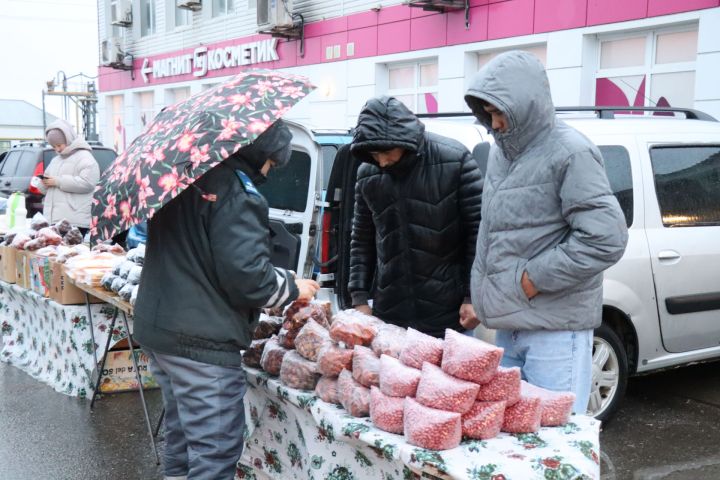 В Нурлате прошла праздничная сельскохозяйственная ярмарка