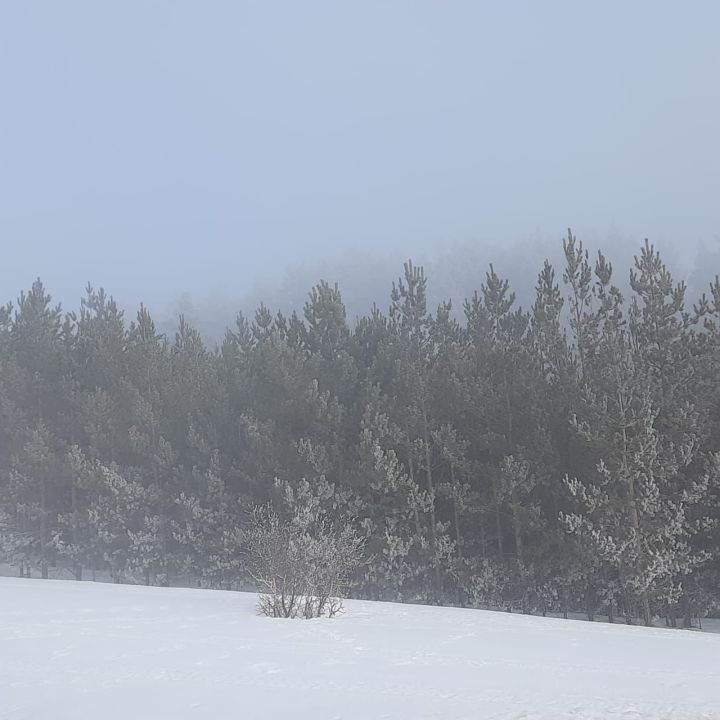 В Татарстане ночью и в первой половине дня 29 марта ожидается туман