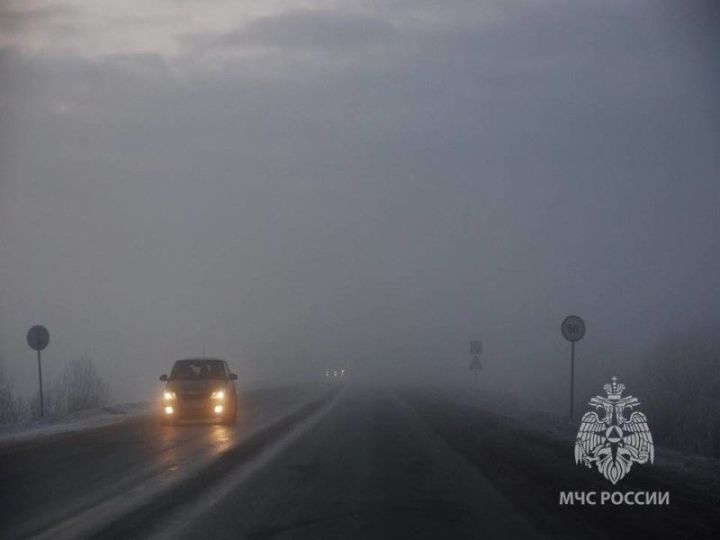 МЧС предупреждает о сильном тумане с видимостью до 500 метров