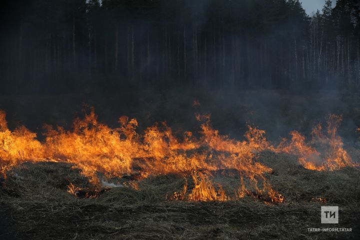 В Татарстане введен особый противопожарный режим: новые ограничения и усиленные штрафы