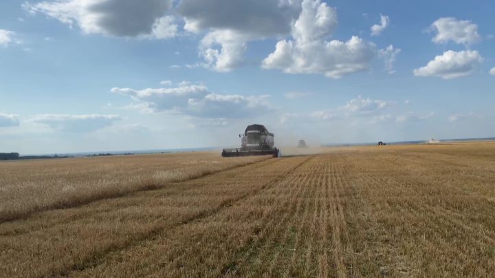 В Нурлате началась уборочная страда