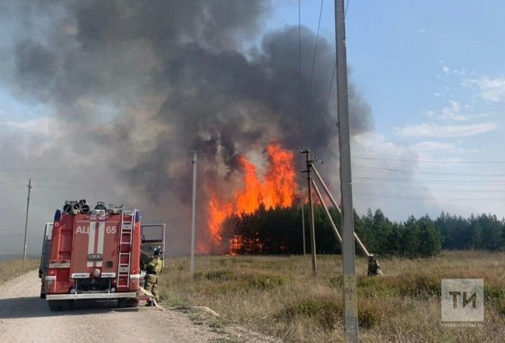 Причины пожаров в условиях сухой погоды