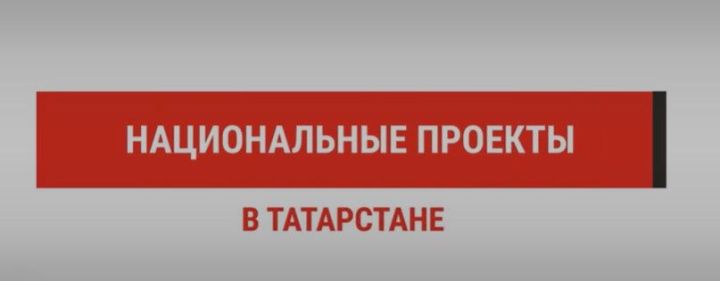 На финансирование программы «Агростартап» в Татарстане в 2024 году выделили 369 млн рублей