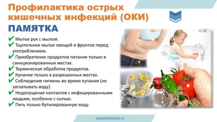 О профилактике острых кишечных заболеваний