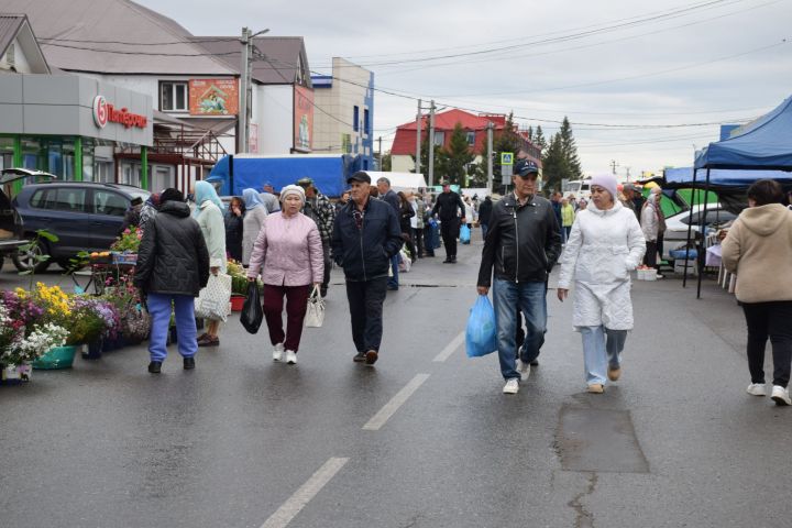 В Нурлате проходит очередная сельскохозяйственная ярмарка