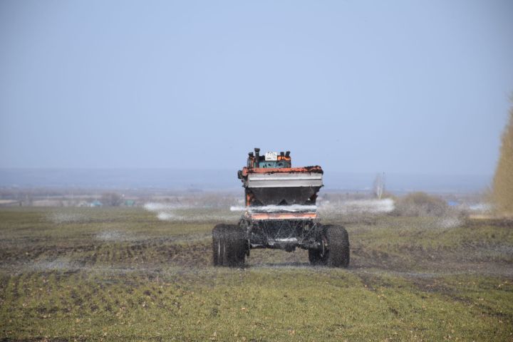 В Россельхозцентре Татарстана рассказали, как бороться с сорняками на посевах озимых культур в осенний период