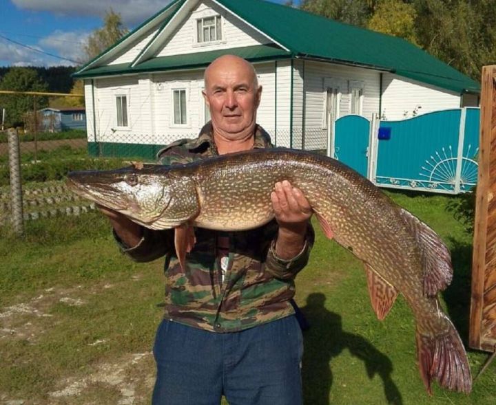 68-летний татарстанский рыбак поймал 12-килограммовую щуку