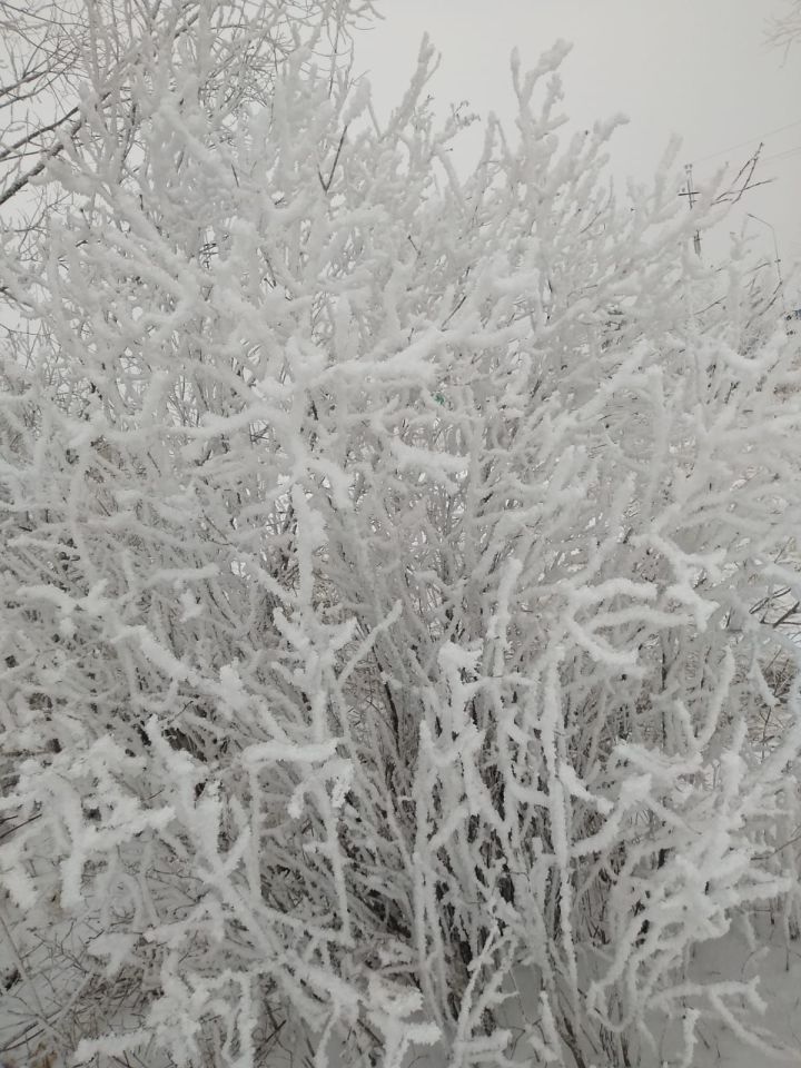 Мороз до -21˚ ожидается ночью в Нурлате