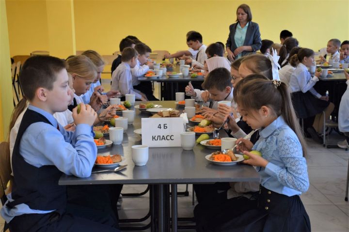 Законопроект об обеспечении всех школьников бесплатным горячим питанием внесен в Госдуму