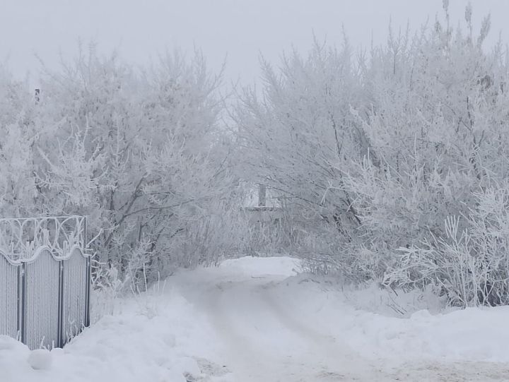 Нурлатцы по сегодняшним приметам погоды узнают каким будет урожай в этом году