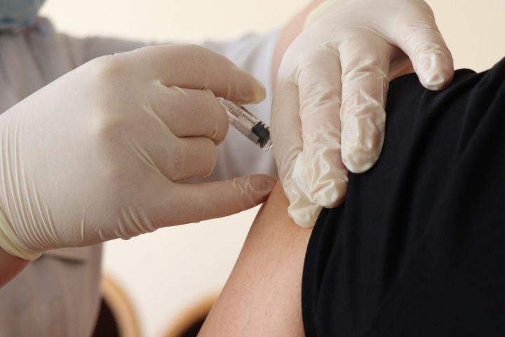 Осень — лучшее время для прививки от клещевого энцефалита