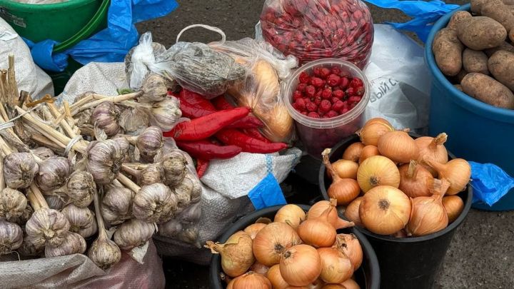 22 ноября в Нурлате пройдет осенняя сельскохозяйственная ярмарка