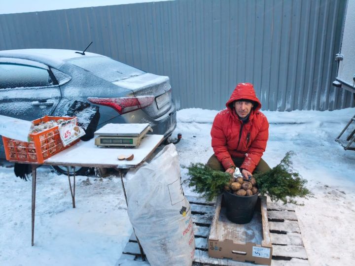 Нурлатские фермеры покорили Казань свежей продукцией