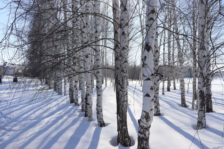 Календарь праздников в России 17 декабря 2025 года