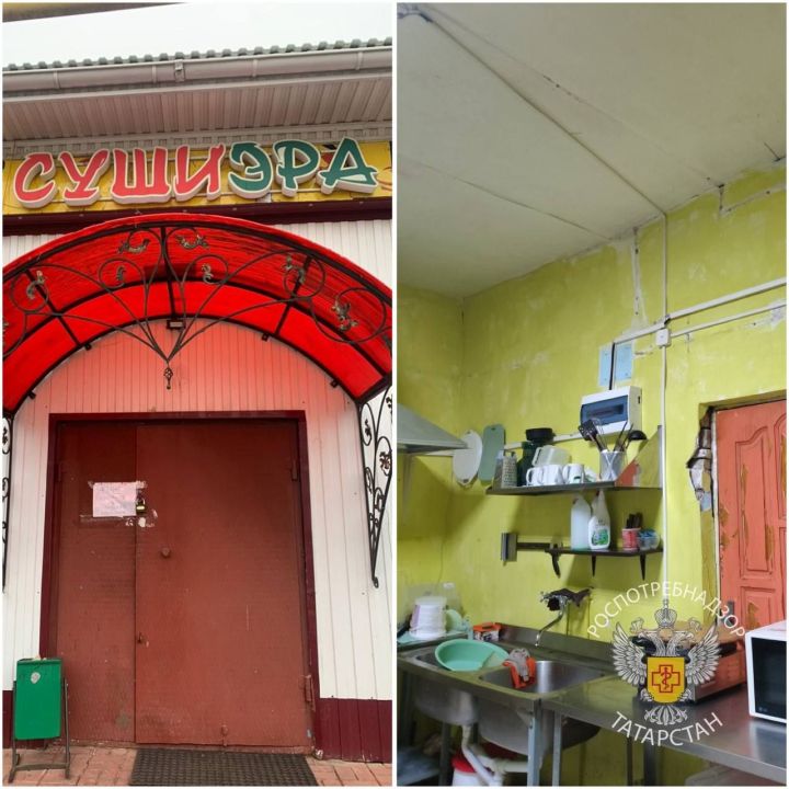 Деятельность кафе «Суши Эра» в Нурлате приостановлена на месяц после выявления кишечной инфекции