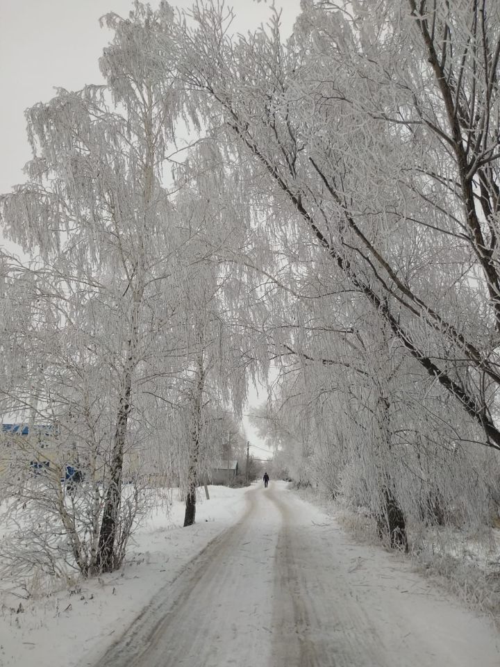 Татарстанцев предупреждают о резком понижении температуры до -29˚