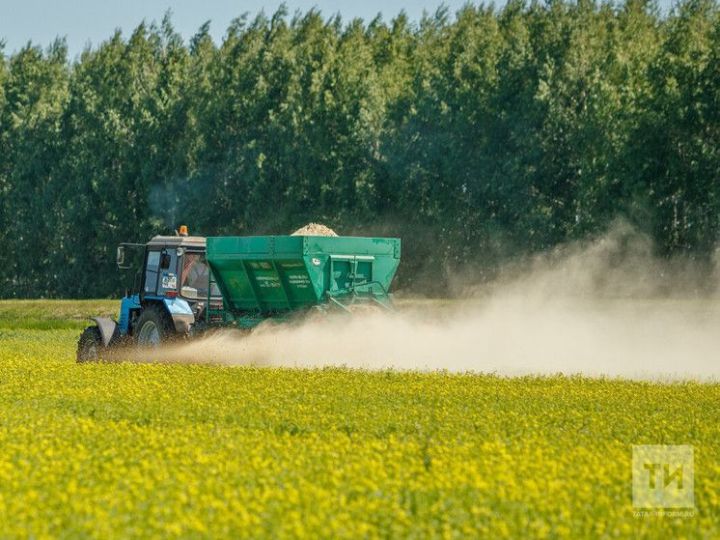 Россельхозцентр Татарстана советует подкормить озимые для усиления роста